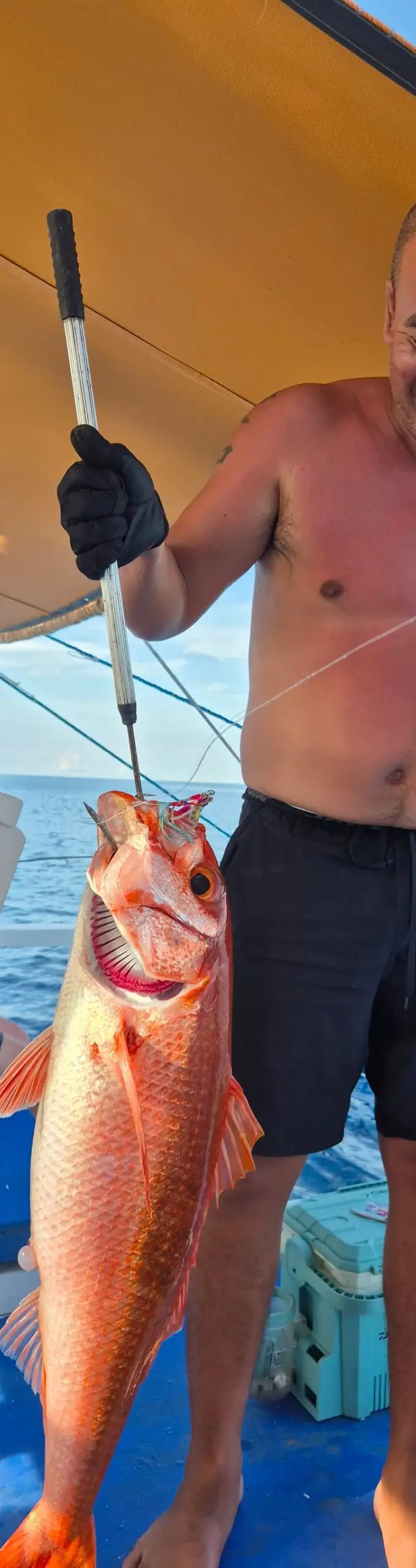 Trophy catch aboard Palawan Fishing Buddy — photo 27